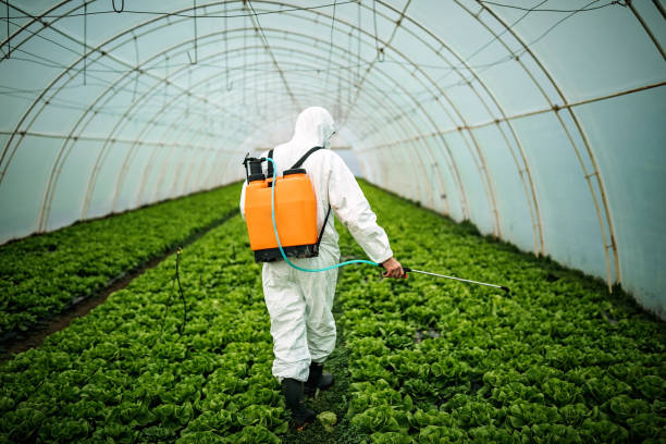 Professional Pest Control in Millington, TN