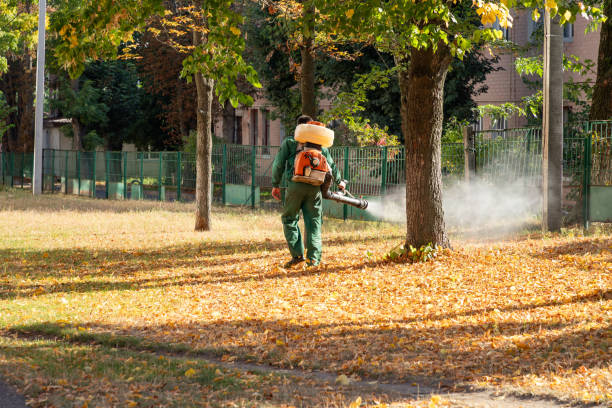 Best Emergency Pest Control  in Millington, TN