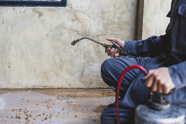 Best Best Pest Control Companies  in Millington, TN